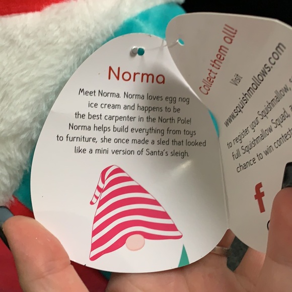 Norma the gnome squishmallow (Christmas 2020) NWT - Picture 3 of 4